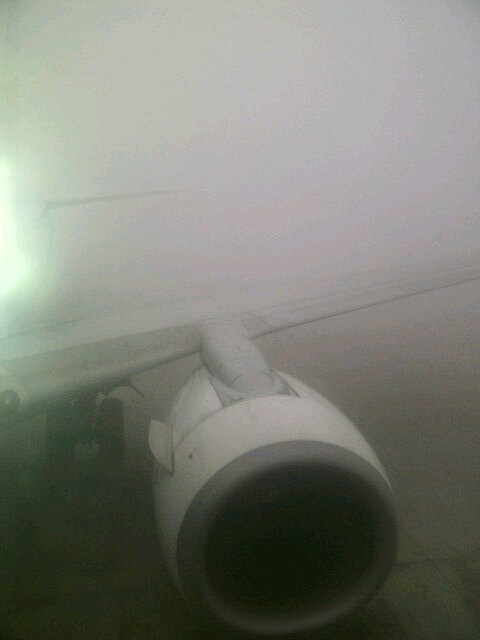 Flight operations came to a standstill at the IGI Airport here this morning after dense fog enveloped the area.<br><br> This image was posted on Twitter by Aalok Dubey.