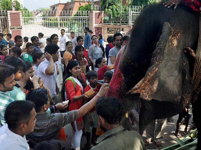 People seek blessings from an elephant at a Ganesh Temple in Guwahati.