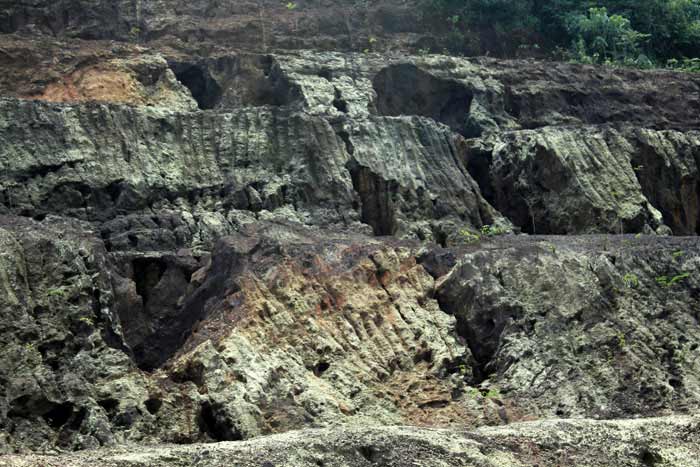 The abandoned Ashnidungar Iron ore mine right in the middle of the Colomba forest area in south Goa, owned by the powerful MLA Anil Salgaocar. Protests by local activists forced it to shut down.