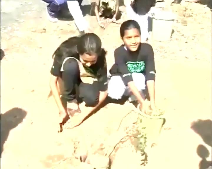 At Sabarmati Aashram in Ahmedabad, young Gandhians and school kids came out in big numbers to plant saplings.