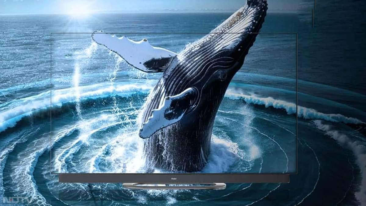 C90 OLED TV में भी 4K रिजॉल्यूशन मिलता है लेकिन इसका रिफ्रेश रेट 120Hz तक सीमित है। इस मॉडल के 77-इंच वेरिएंट में 65W का अपग्रेडेड साउंड सिस्टम है, जबकि बाकी वेरिएंट्स में 50W का सेटअप है।