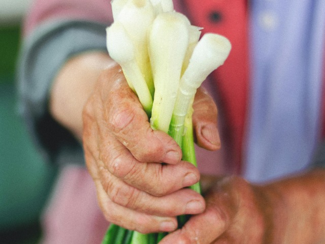 हरी प्&zwj;याज खाने के फायदे