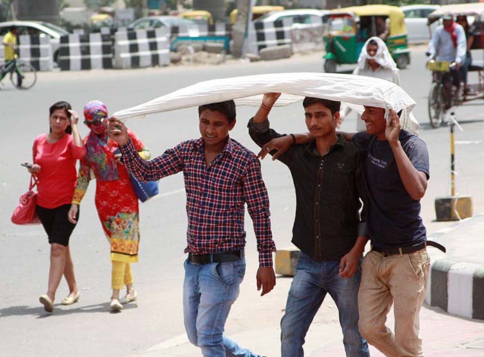 Heat Wave Intensifies; Over 700 Killed in Telangana, Andhra Pradesh