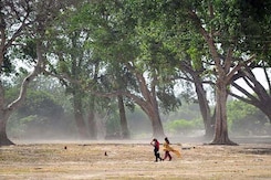Heat Wave Intensifies; Over 700 Killed in Telangana, Andhra Pradesh Heat Wave Intensifies; Over 700 Killed in Telangana, Andhra Pradesh