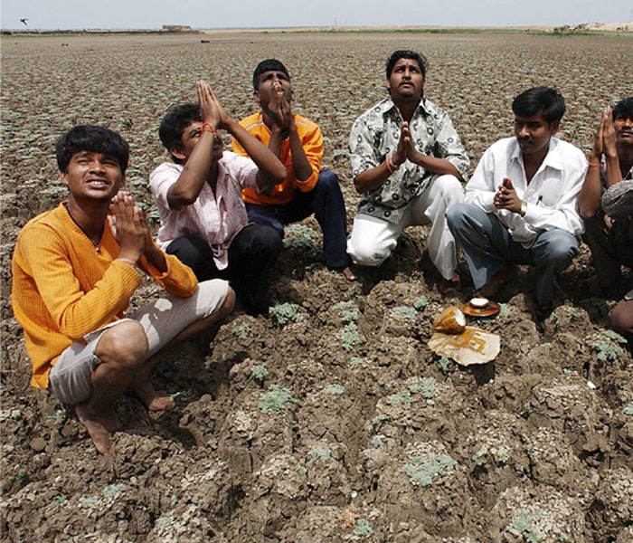 <b>All that remains is faith:</b> As temperatures soar to figures skyscraping statistics of previous years; all that is left for farmers is hope and faith to bring the onset of the monsoon soon enough to end their miseries. (AFP image)