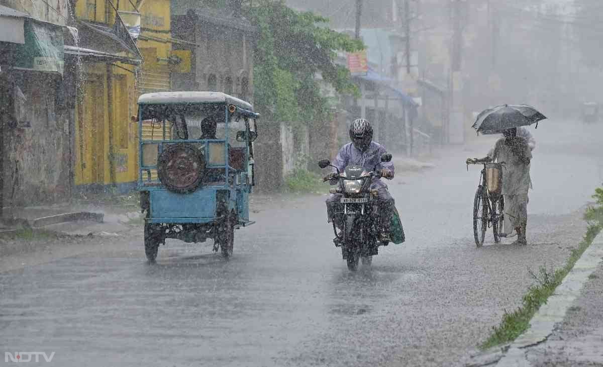 पश्चिम बंगाल के नादिया में भारी बारिश से मौसम काफी सुहाना होता दिखा. फोटो: पीटीआई