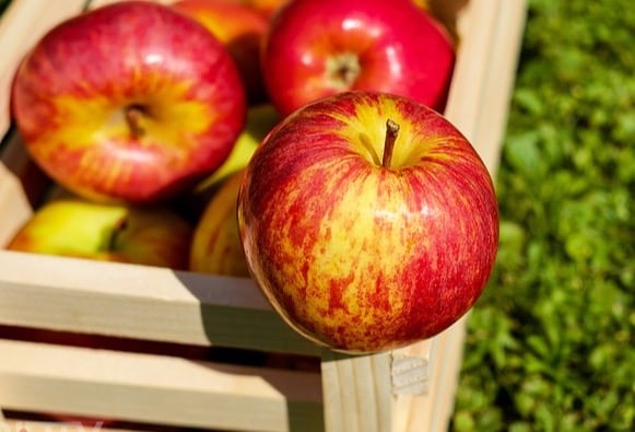 The high fibre content in apples keeps you fuller for longer, reducing hunger and preventing overeating. Additionally, apples are low in calories and have a high water content, making them a great snack option for weight management without compromising nutrition.