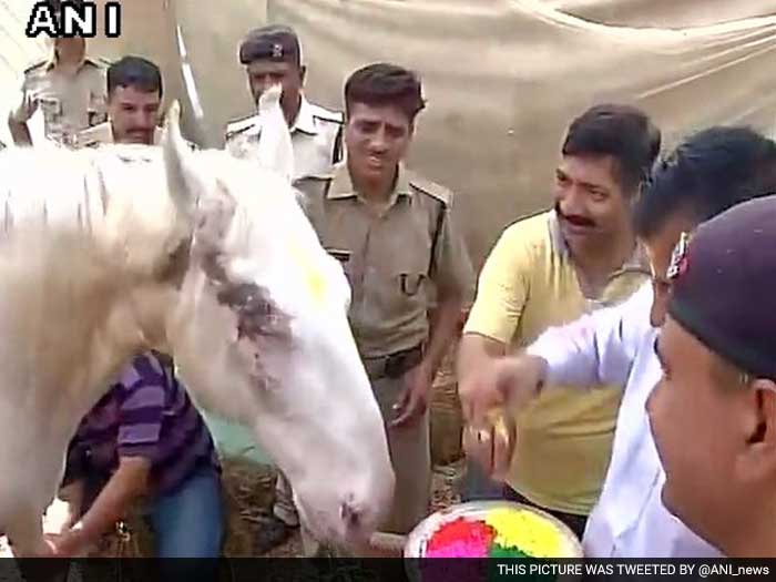 Police personnel in Dehradun applied colour to Shaktiman, the horse who was allegedly beaten up by a a Bharatiya Janata Party lawmaker, as part of Holi celebrations.