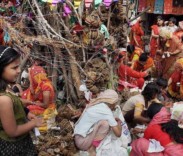 Holi celebrations around the world (2011)