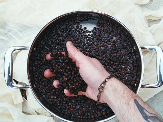 मिलावटी काली मिर्च की कैसे करें पहचान