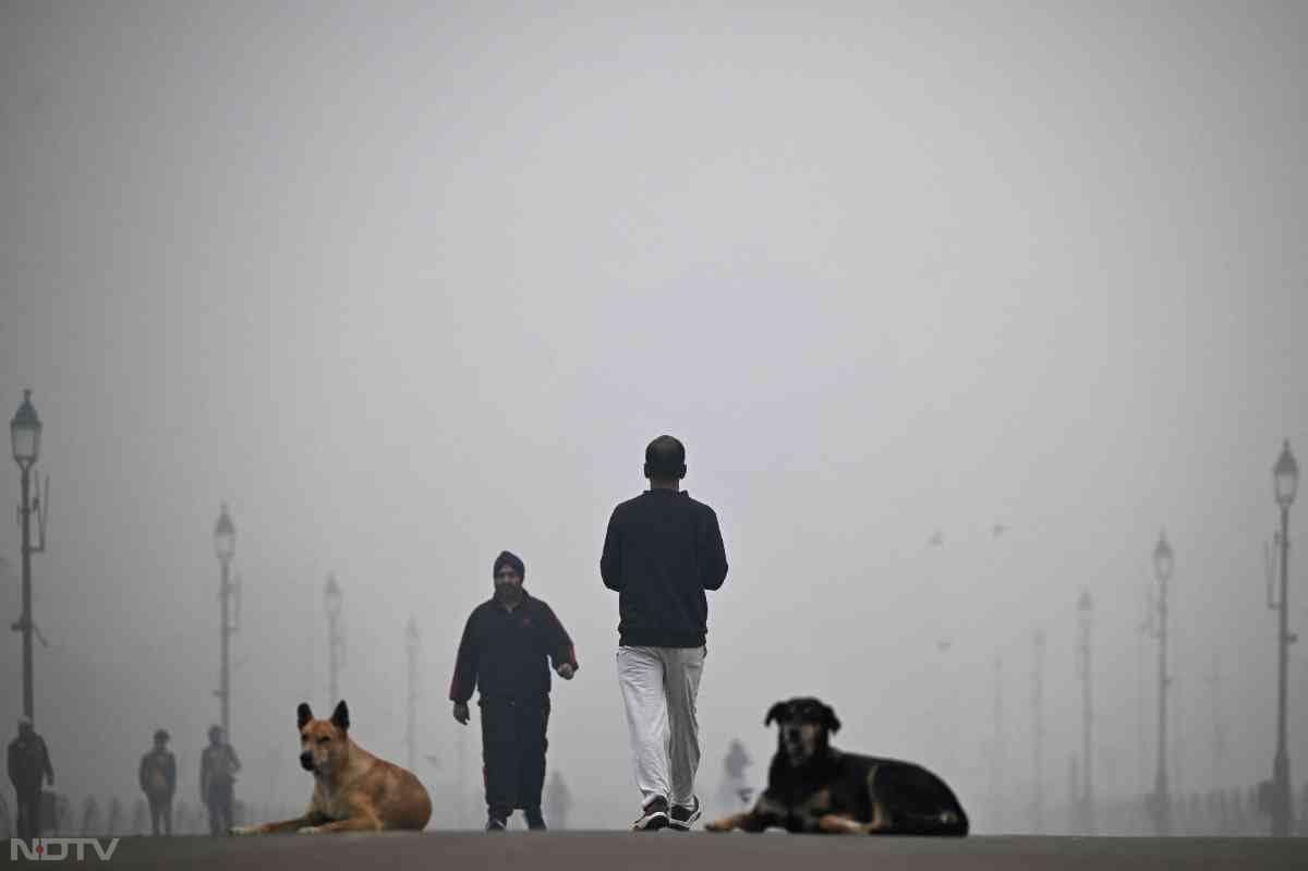 People walk past dogs during their morning walk along the Kartavya Path engulfed in smog, near India Gate