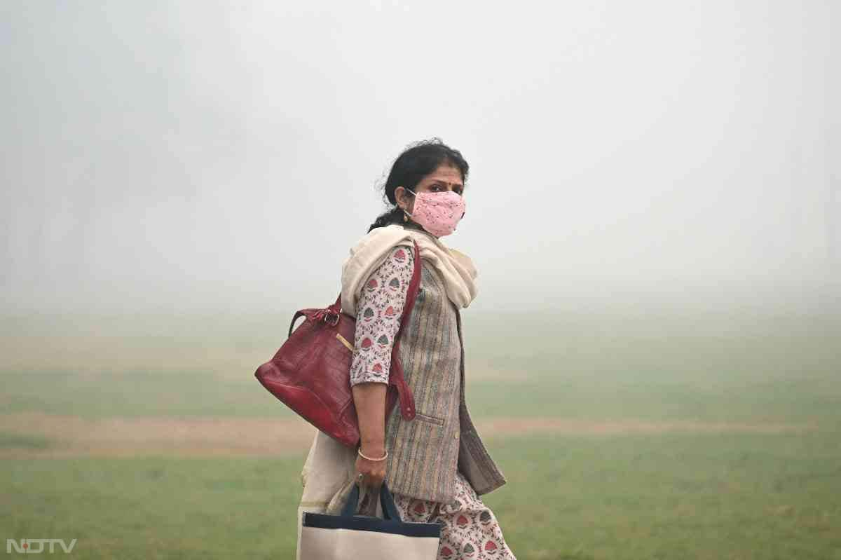 A woman wearing a mask walks along a roadside on a cold smoggy morning in New Delhi