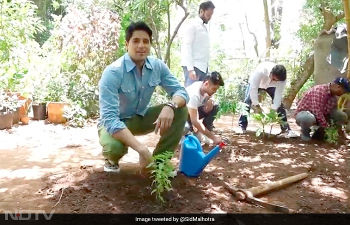In Pics: How Ministers And Celebrities Celebrated World Environment Day