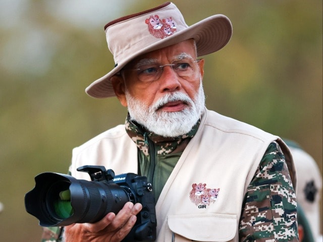 In Pics: PM Modi On Lion Safari In Gujarat's Gir Forest