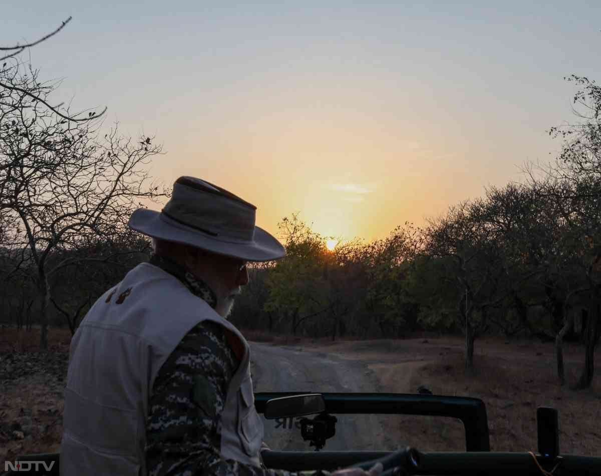 He went on the lion safari, with some ministers and senior forest department officials accompanying him