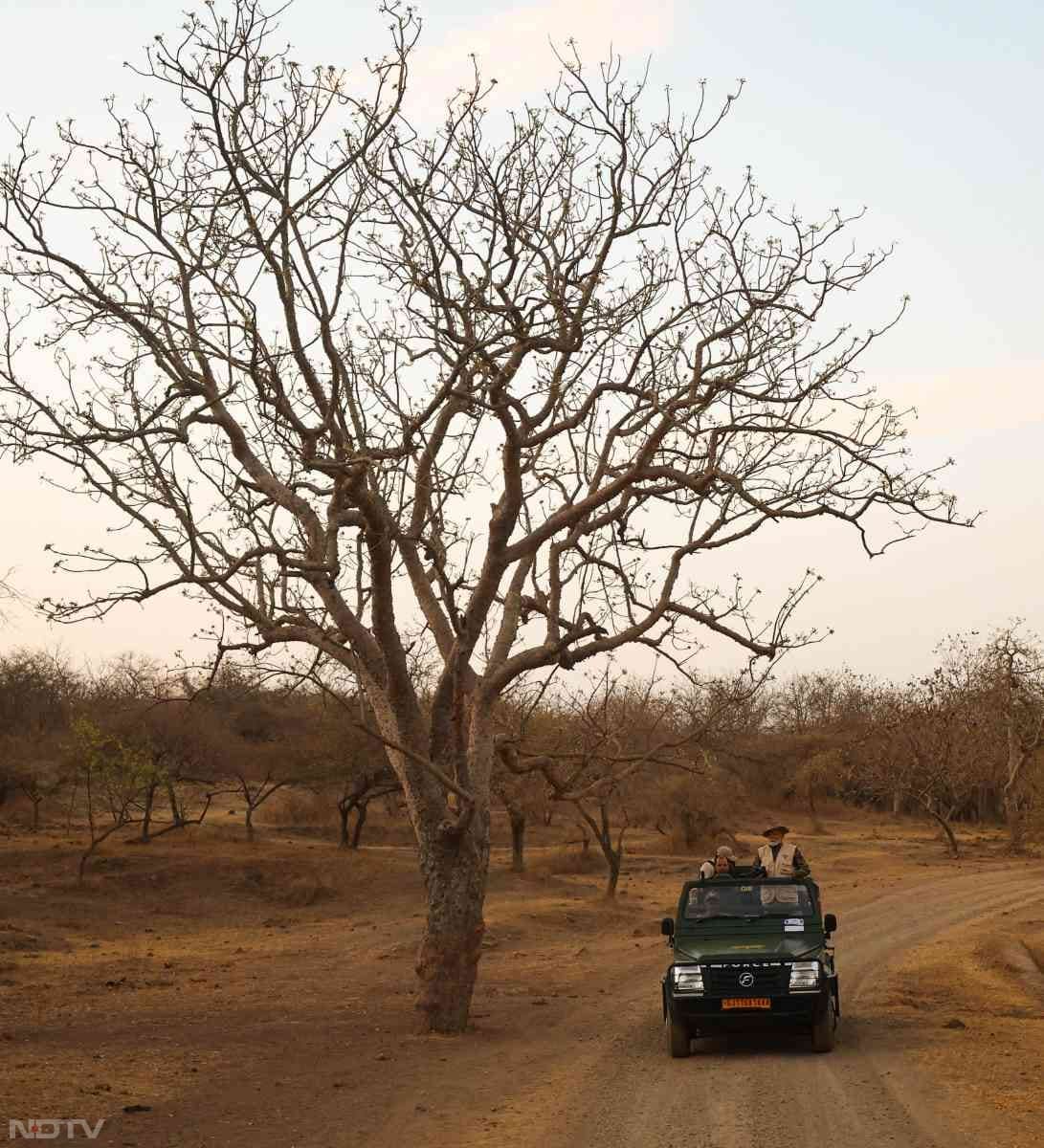 His visit aligns with this year's theme, 'Wildlife Conservation Finance: Investing in People and Planet'