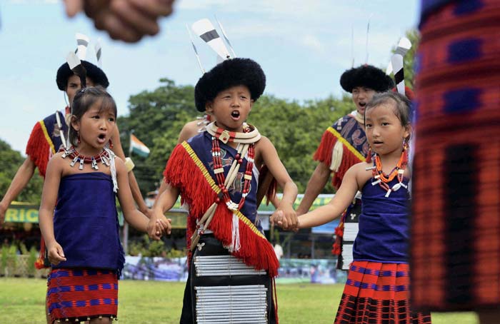 India celebrates 67th Independence Day