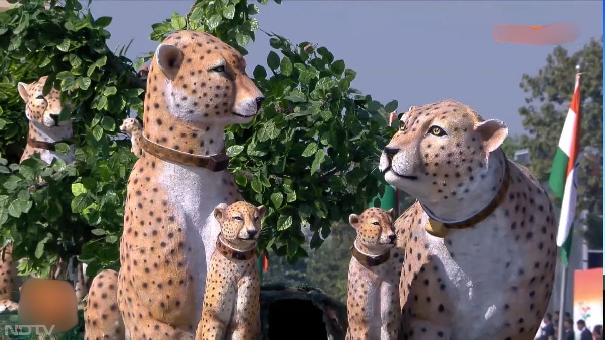 31 Tableaux rolled down Kartavya Path on the theme ?Swarnim Bharat: Virasat aur Vikas'. Madhya Pradesh's tableau highlighted the return of cheetahs.