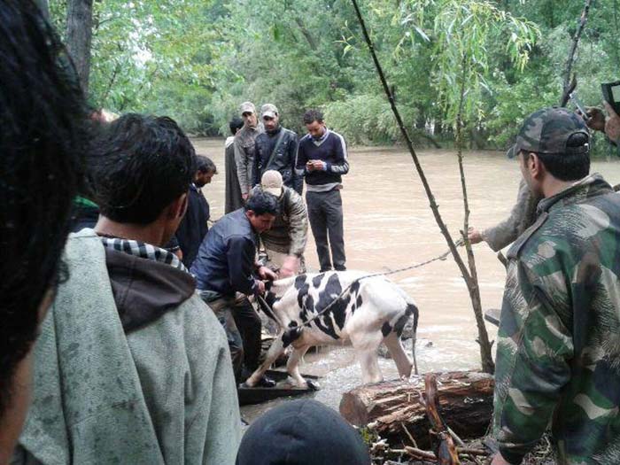 Jammu and Kashmir Massive Floods: Indian Army Rescues Stranded