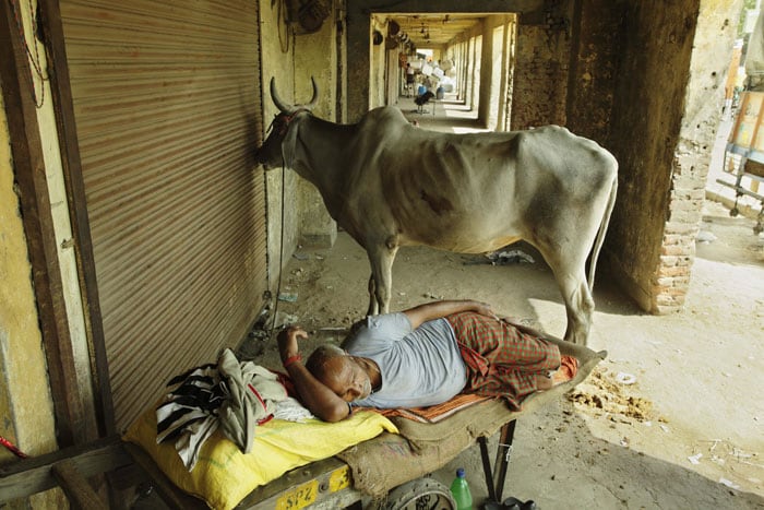 Most states are already experiencing temperatures above 40 degree Celsius and it's not likely to get better any time soon.(AP Photo)