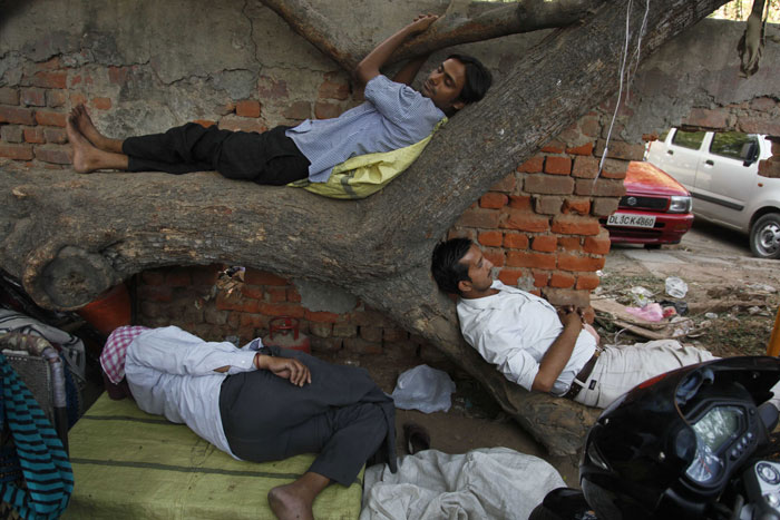 In Lucknow, mercury has touched 42.2 degrees. But no matter how high the mercury rises, hundreds of men across the city are busy building Mayawati's dreams. (AP Photo)