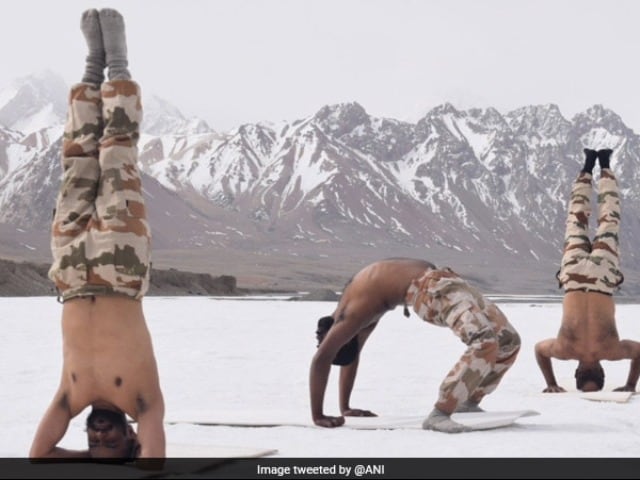 Photo : International Day Of Yoga 2022: India Celebrates Eighth Yoga Day, See Pics