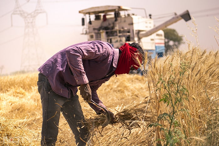 Every year on May 1, International Labour Day, also known as May Day, is celebrated across the world. This day serves as a tribute to the hardworking individuals whose dedication and sweat have shaped societies and economies across the globe. (Unsplash)