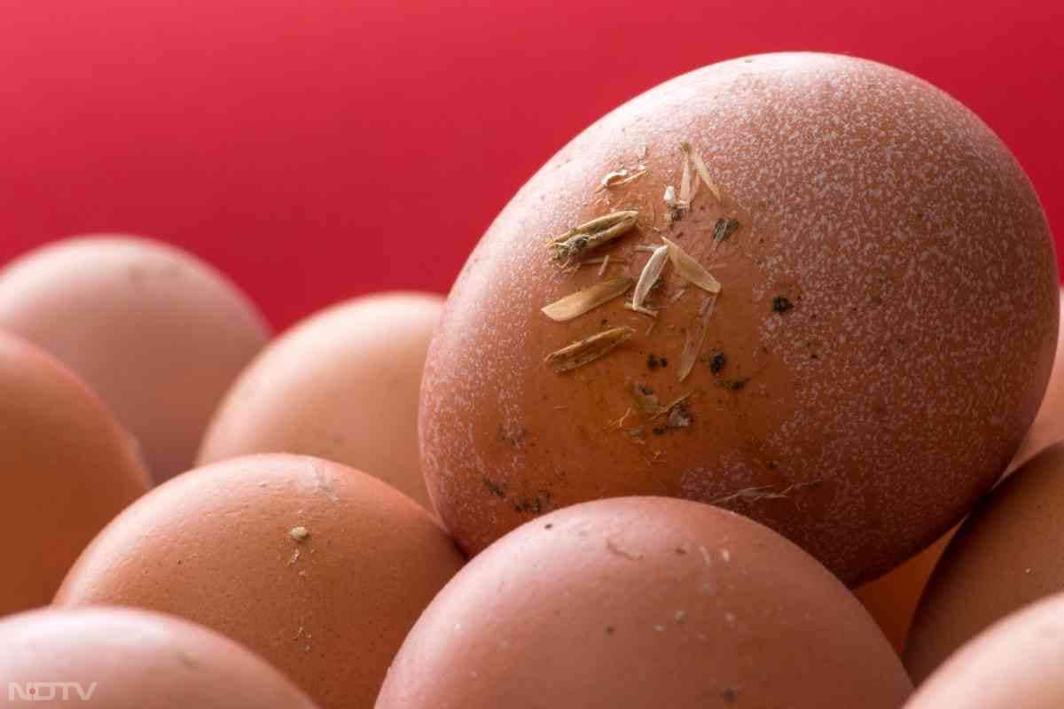 कई लोगों के मन में सवाल होता है कि क्या अंडा वाकई मशीन से बनाया जा सकता है.