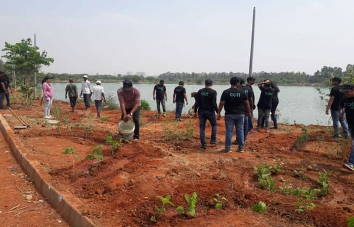 Citizen-Led Plantation Drive Brings Bengaluru\'s Jakkur Lake Back To Life
