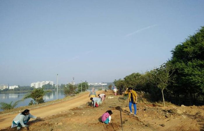 Citizen-Led Plantation Drive Brings Bengaluru\'s Jakkur Lake Back To Life