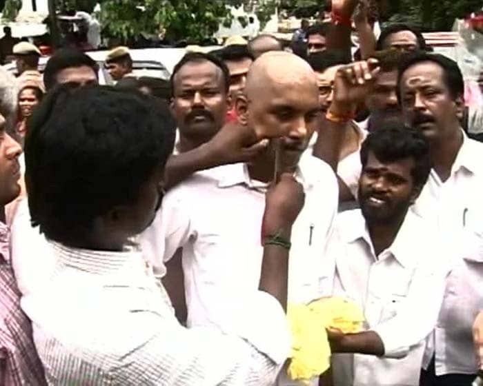 When a Man Shaved His Moustache and Other Amma Celebrations