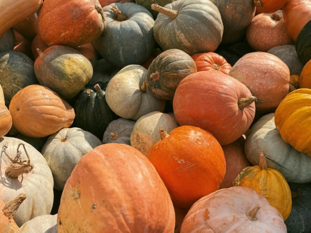 कद्दू को ना समझें मामूली, खाने से होता है शरीर में ये बदलाव