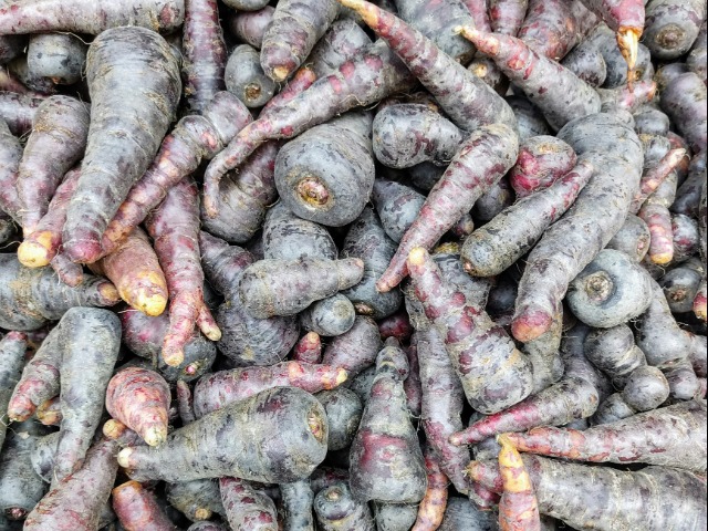 काली गाजर खाने के फायदे