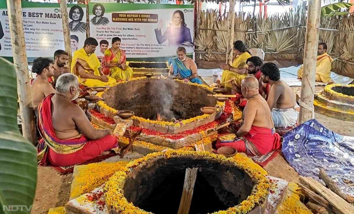 इस गांव के लोगों को आस है कि वर्तमान उपराष्ट्रपति कमला हैरिस अमेरिकी राष्ट्रपति चुनाव में जीत हासिल करेंगी.