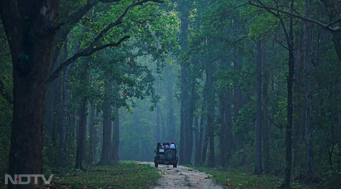 कान्हा नेशनल पार्क करीब 2074.32 वर्ग किलोमीटर क्षेत्र में फैला है और दो भागों में बंटा हुआ है.