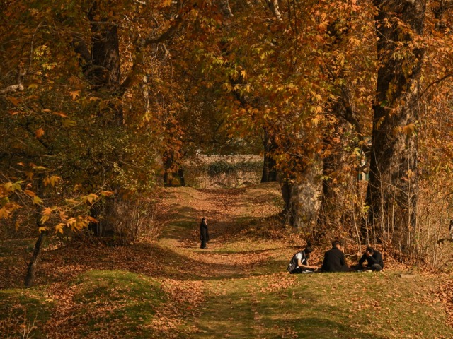 कश्मीर में स्वर्ग जैसे ये खूबसूरत नजारे, गुलदाउदी से शालीमार गार्डन की ये तस्वीरें दिल छू लेंगी, देखें PHOTOS