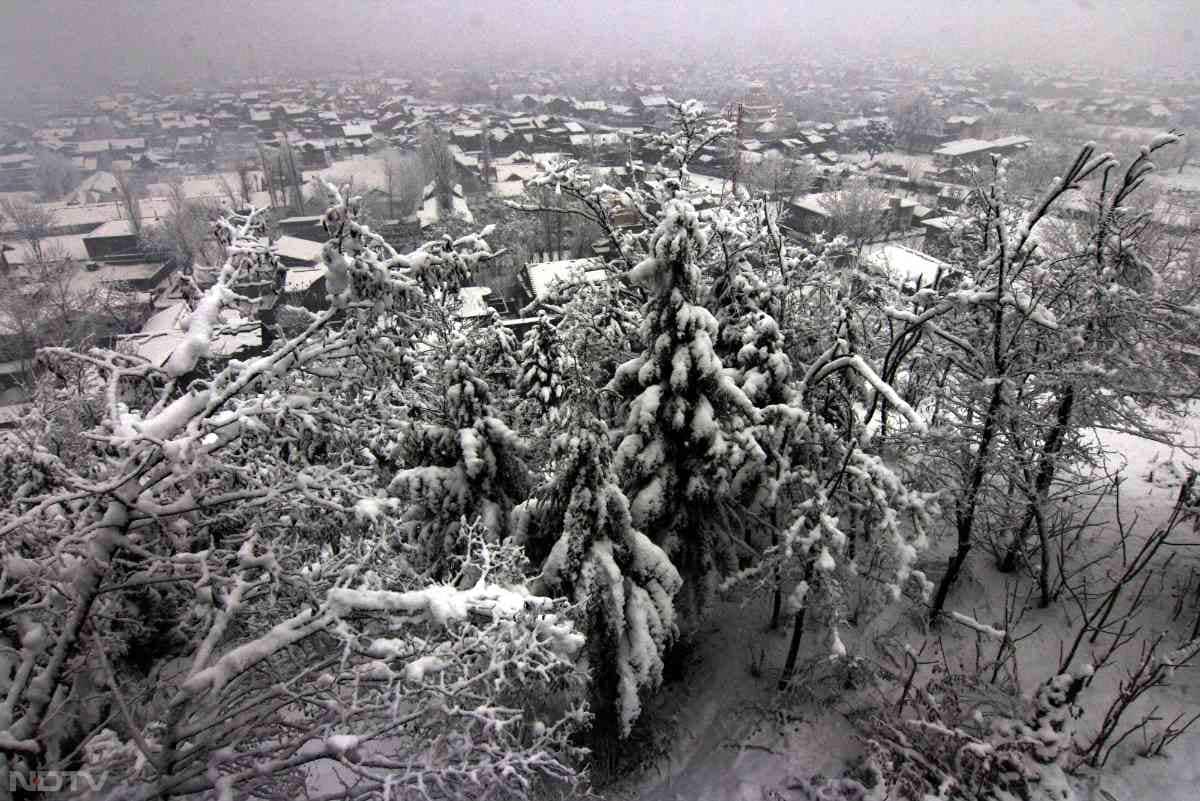 अक्टूबर के खत्म होते और नवंबर के शुरू होते ही घाटी सर्दियों की शांति के स्वागत की तैयारी करने लगती है.