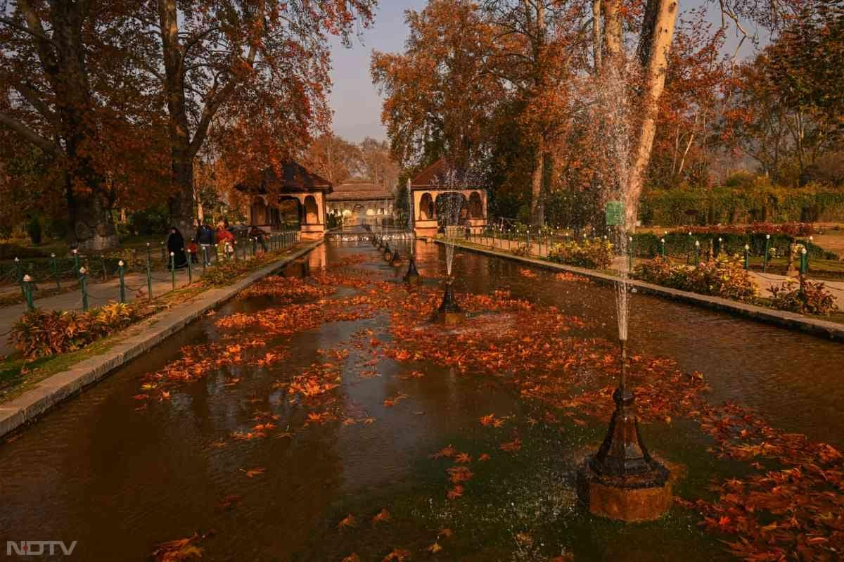 अगर आप भी कश्मीर जाने का प्लान कर रहे हैं तो नवंबर से जनवरी तक का समय सबसे उत्तम है.