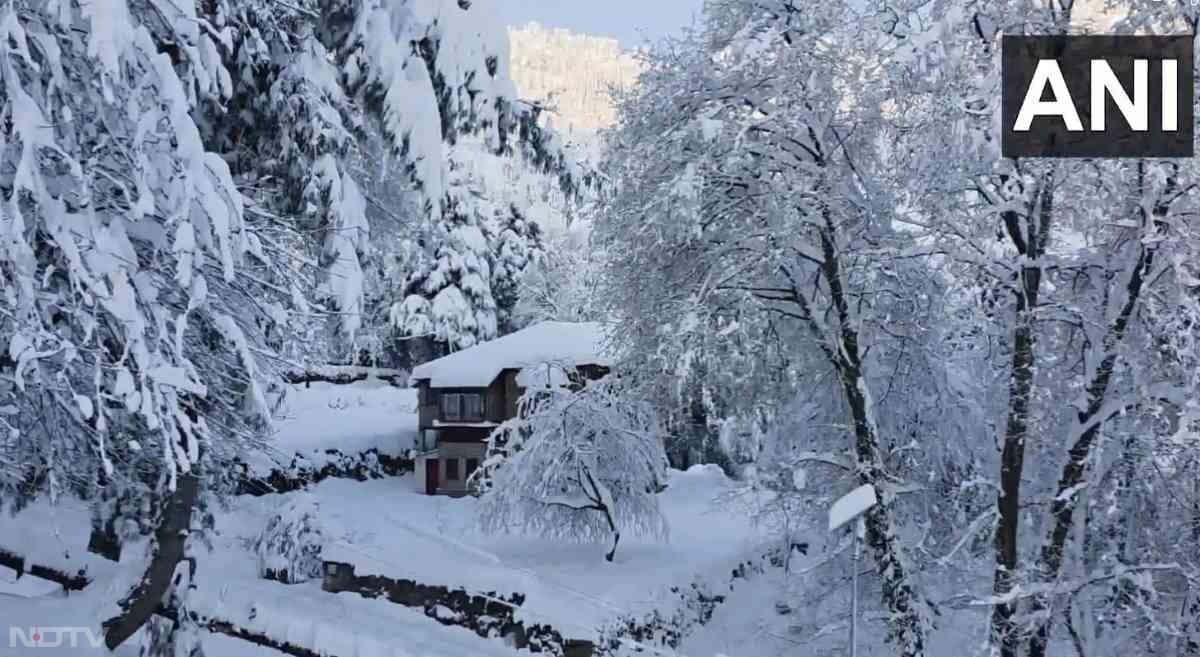 करीब तीन महीने के लंबे ड्राई स्पेल के बाद बर्फबारी शुरू हुई. इस पर लोगों ने राहत और खुशी जताई. इसे जल स्रोतों/रिज़र्वायर, ग्राउंड वॉटर के लिए भी फायदेमंद माना गया.