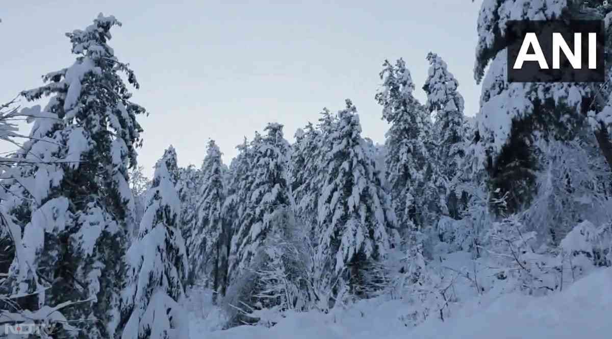 सड़कें, पेड़, छतें हर चीज़ पर जमी सफेद बर्फ ने पूरी घाटी को पोस्टकार्ड जैसा रूप दे दिया है जिसे देखने के लिए पर्यटक उमड़ पड़े हैं.