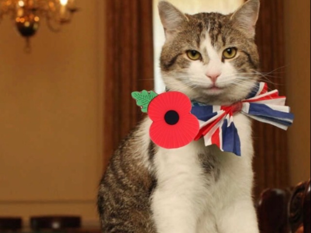 ब्रिटेन की सत्ता के गलियारों में कई प्रधानमंत्री आए और गए लेकिन नहीं गया PM हाउस का ये 'खास मेहमान', 15 साल से एक ही जगह पर है डटा, आखिर ये है कौन?