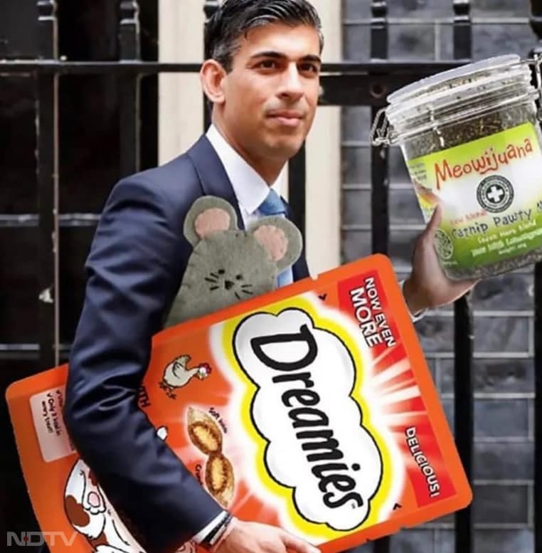 लैरी द कैट को Dreamies नामक कैट‑ट्रीट्स खाना सबसे ज़्यादा पसंद है. Instagram/larrythecatforpm