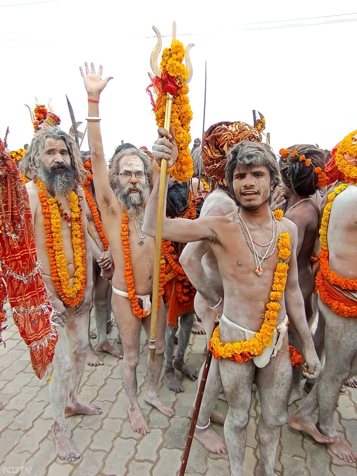 आनंद अखाड़े की भव्य शोभा यात्रा में बाजे-गाजे के साथ सबसे आगे धर्म ध्वजा चल रही थी.