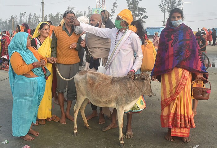 देशभर में धूमधाम से मनाई गई 'मकर संक्रांति', तस्वीरों में देखें त्योहार की कुछ झलकियां