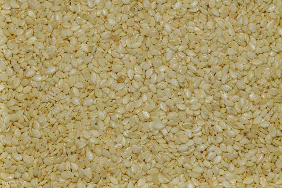 गुड़ रेवड़ी बनाने के लिए जरुरी सामग्री-सफेद तिल 1 कप, गुड़ 1 कप बारीक कटा हुआ, घी 1 छोटी चम्मच, पानी 2 छोटी चम्मच, इलायची पाउडर आधा छोटी चम्मच और बादाम या मूंगफली कुटी हुई 2 छोटी चम्मच.