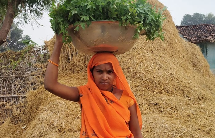 Foolmati A Farmer Who Brought A Sustainable Front To The Face Of Agriculture In Her State