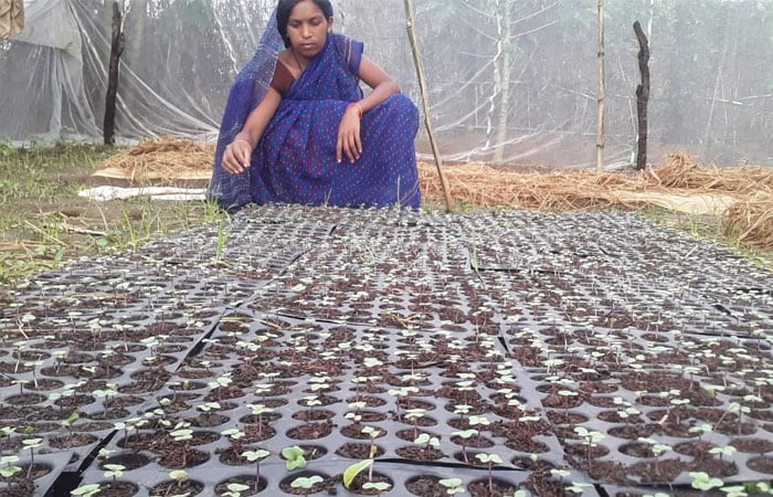 Foolmati A Farmer Who Brought A Sustainable Front To The Face Of Agriculture In Her State