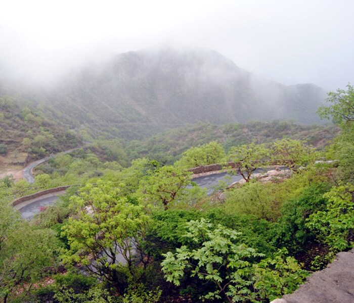 <b>Carved out: </b>A road through the hills leading to Sajjanpur. (Image: Ketki Angre)