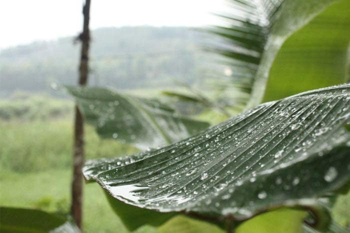 Monsoon watch: Photos sent by surfers