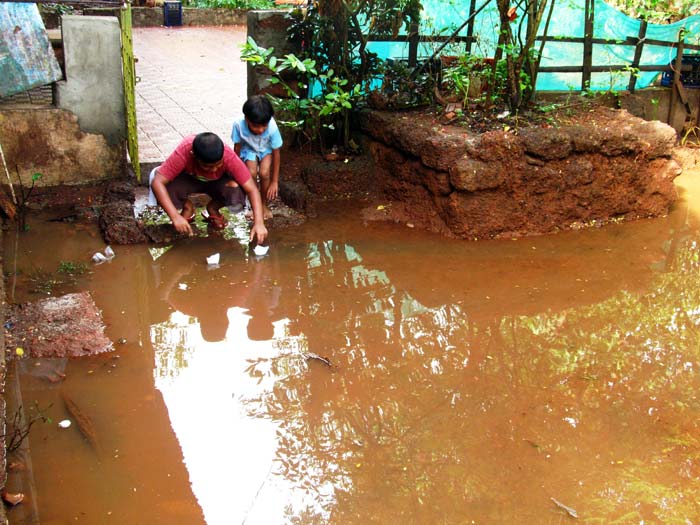 Monsoon watch: Photos sent by surfers